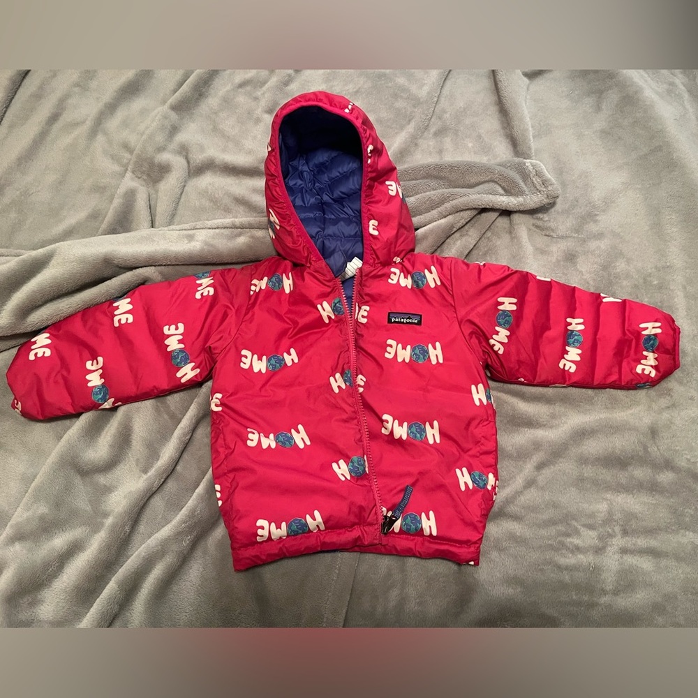 Patagonia Reversable Down Sweater Hoody